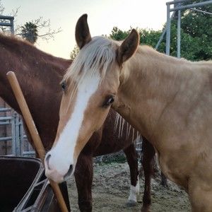 Meet your Posher, Staci